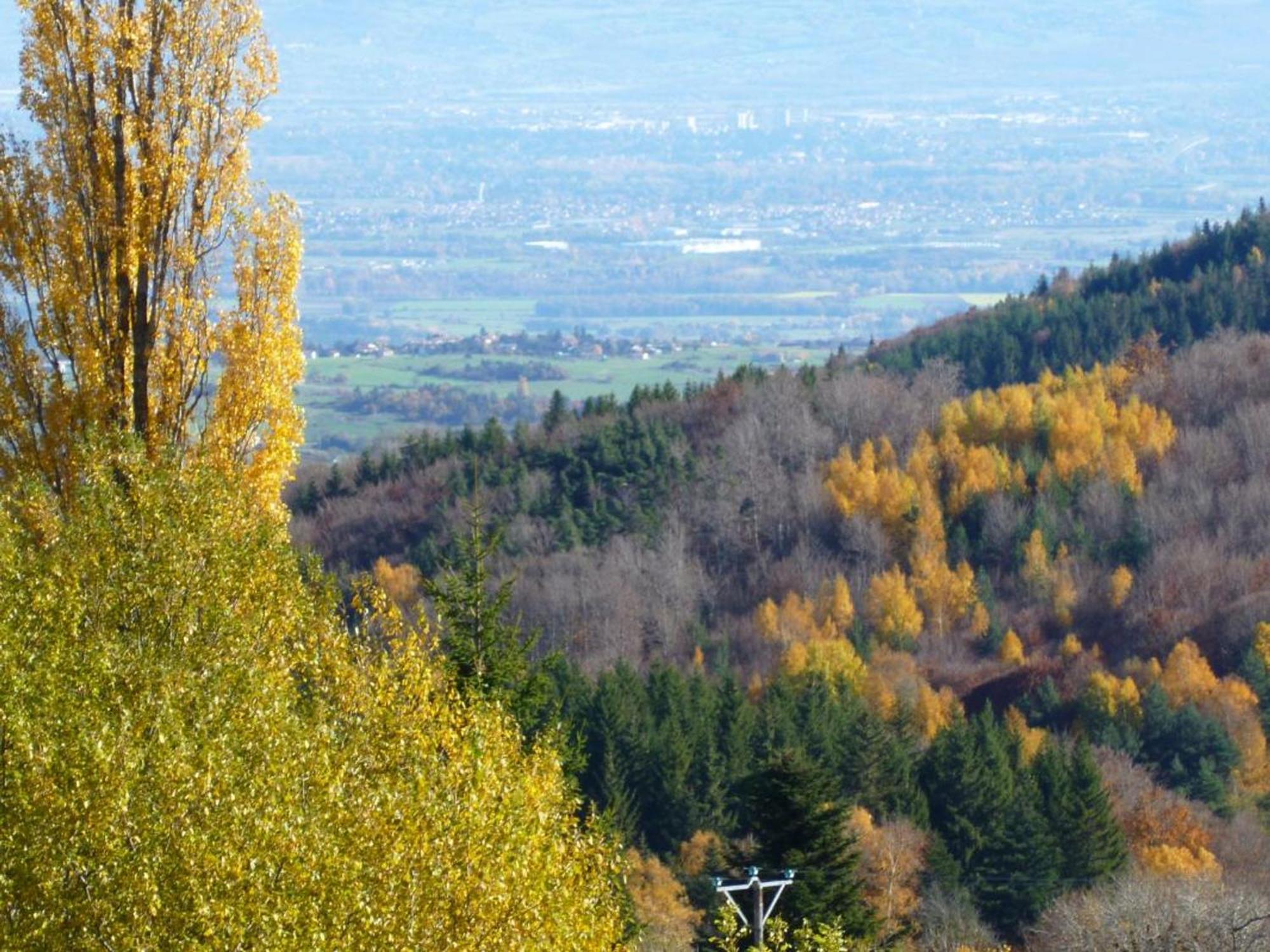 Charmant Gite Avec Terrasse, Cheminee Et Jardin, A Proximite Des Bois, Animaux Acceptes - Fr-1-496-205 Saint-Jean-Soleymieux Εξωτερικό φωτογραφία