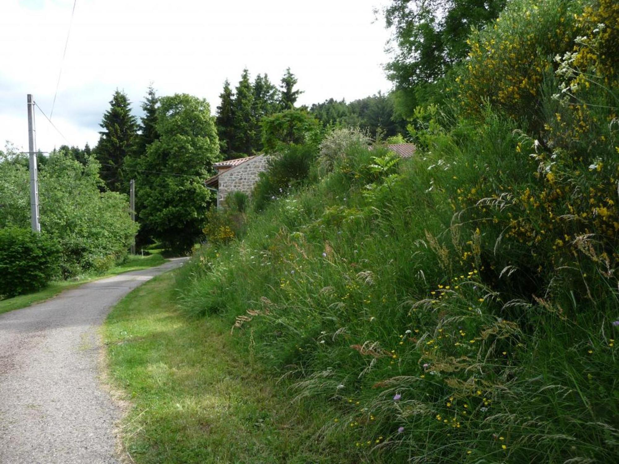 Charmant Gite Avec Terrasse, Cheminee Et Jardin, A Proximite Des Bois, Animaux Acceptes - Fr-1-496-205 Saint-Jean-Soleymieux Εξωτερικό φωτογραφία